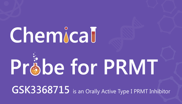 GSK3368715 is an Orally Active TypeI PRMT Inhibitor 2019 07 29 - GSK3368715 is an Orally Active Type I PRMT Inhibitor