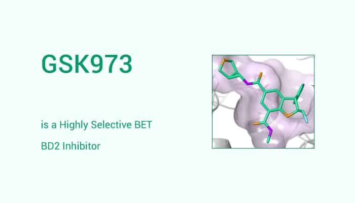 GSK973 is a Highly Selective BET BD2 Inhibitor 2021 05 19 - GSK973 is a Highly Selective BET BD2 Inhibitor