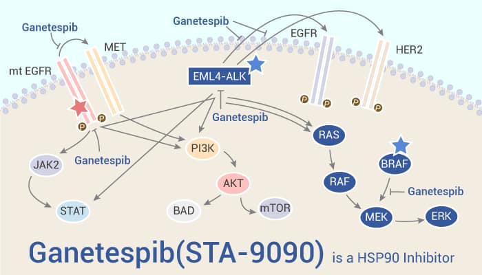 Ganetespib STA 9090 is a HSP90 Inhibitor 2021 10 13 - Ganetespib (STA-9090) is a HSP90 Inhibitor
