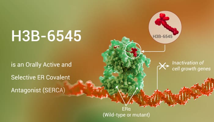 H3B 6545 is an Orally Active and Selective ER Covalent Antagonist SERCA 2020 12 03 - H3B-6545 is an Orally Active and Selective ER Covalent Antagonist (SERCA)