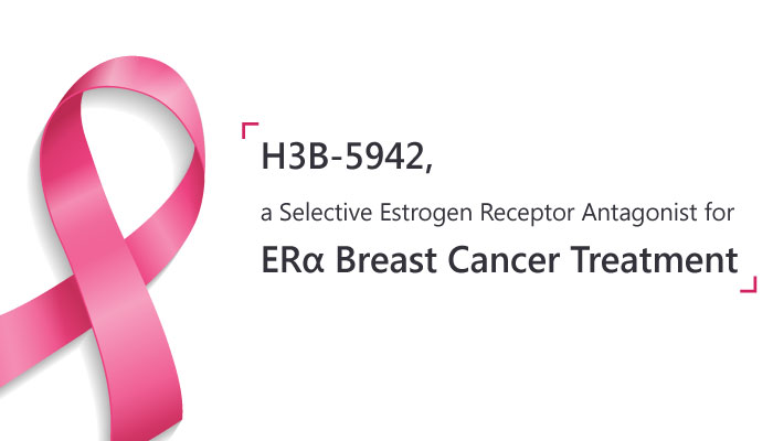 H3B5942 estrogen receptor antagonist ERα breast cancer 2019 04 03 - H3B-5942, a Selective Estrogen Receptor Covalent Antagonist for ERα Breast Cancer Treatment