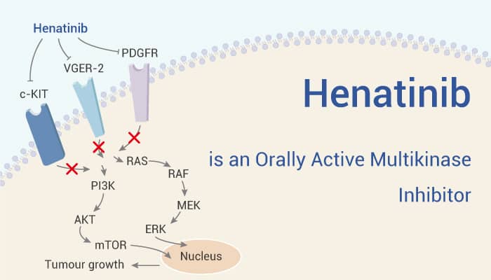 Henatinib is an Multikinase Inhibitor 2022 0722 - Henatinib is an Orally Active Multikinase Inhibitor with Broad Antitumor Activities