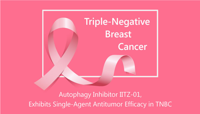 IITZ 01 Lysosomotropic Autophagy Inhibitor Triple Negative Breast Cancer 2019 04 15 - IITZ-01 as a Potent Lysosomotropic Autophagy Inhibitor
