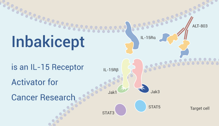 Inbakicept is An IL 15 Activator 2023 0403 - Inbakicept is an IL-15 Superagonist for Cancer Research