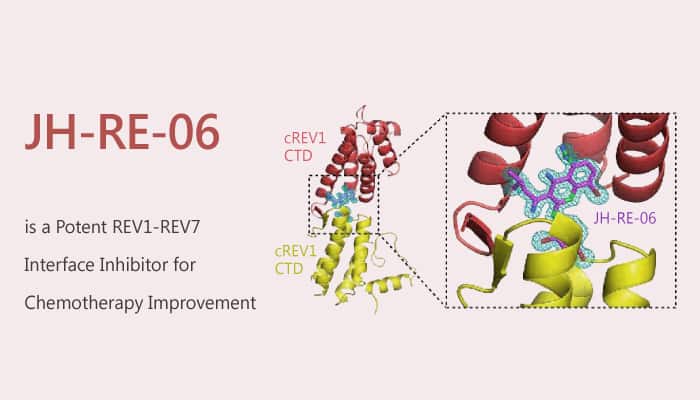 JH RE 06 is a Potent REV1 REV7 Interface nhibitor for Chemotherapy Improvement 2019 08 11 - JH-RE-06 is a Potent REV1-REV7 Interface Inhibitor for Chemotherapy Improvement