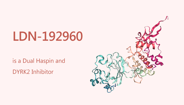 LDN 192960 is a Dual Haspin and DYRK2 Inhibitor 2019 09 30 - LDN-192960 is a Dual Haspin and DYRK2 Inhibitor