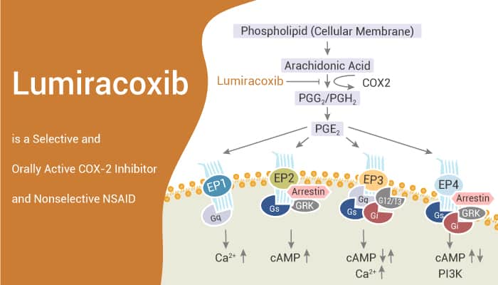 Lumiracoxib is a Selective and Orally Active COX 2 Inhibitor and Nonselective NSAID 2021 07 15 - Lumiracoxib is a Selective and Orally Active COX-2 Inhibitor and Nonselective NSAID