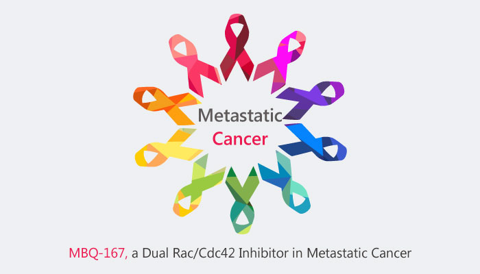 MBQ 167 RacCdc42 Inhibitor in Metastatic Cancer 2019 04 17 - MBQ-167 as a Dual Rac/Cdc42 Inhibitor in Metastatic Cancer