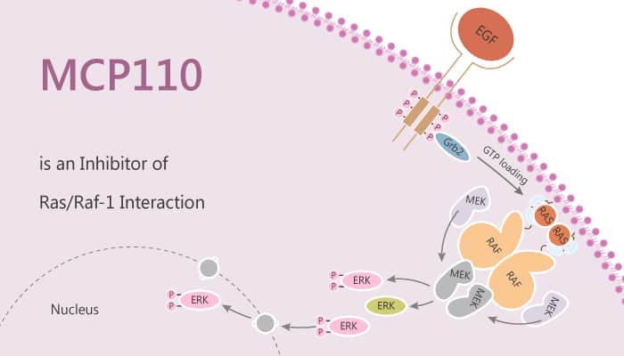 MCP110 is an Inhibitor of Ras Raf 1 Interaction 2020 08 06 - MCP110 is an Inhibitor of Ras/Raf-1 Interaction