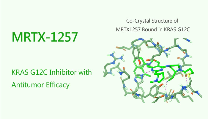 MRTX 1257 KRAS G12C Inhibitor Antitumor pancreas cancer colorectal cancer NSCLC 2019 05 09 - MRTX-1257 is a KRAS G12C Inhibitor with Antitumor Efficacy