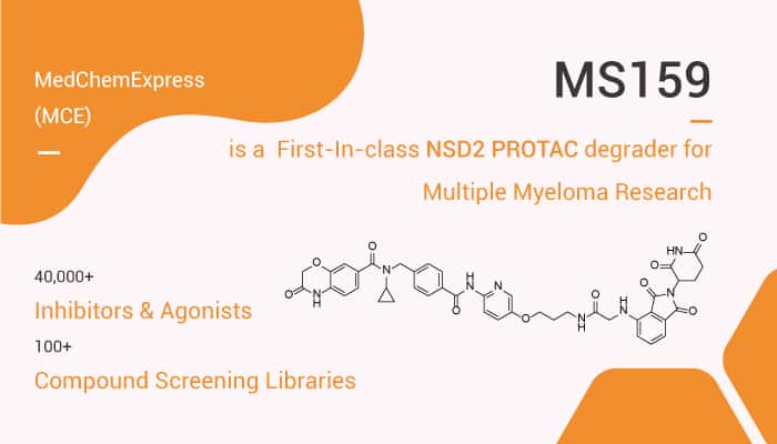 MS159 is An NSD PROTAC Inhibitor 2022 0826 - MS159 is a First-In-class NSD2 PROTAC degrader for Multiple Myeloma Research