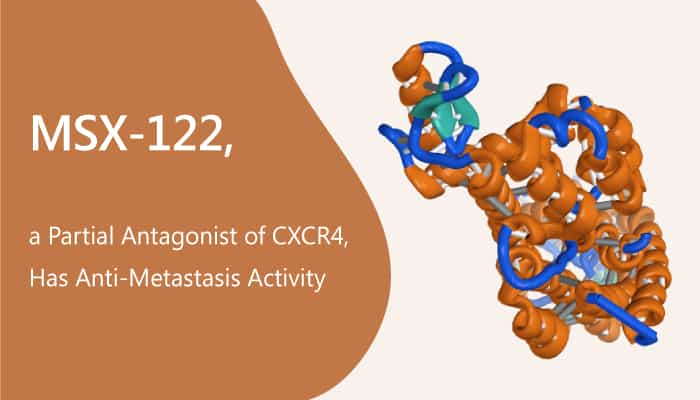 MSX 122 a Partial Antagonist of CXCR4 Has Anti Metastasis Activity 2019 08 13 - MSX-122, a Partial Antagonist of CXCR4, Has Anti-Metastasis Activity