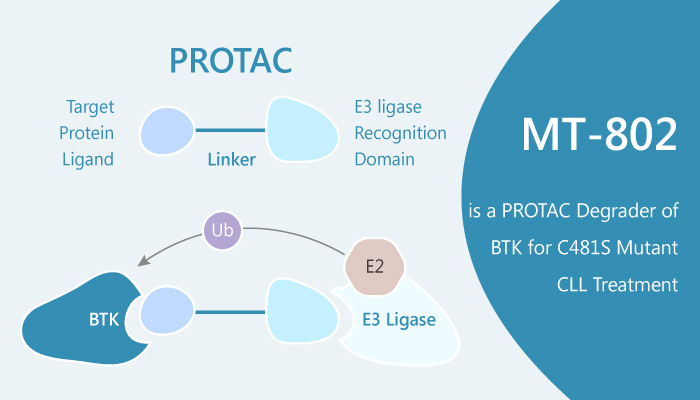 MT 802 is a PROTAC Degrader of BTK for C481S Mutant CLL Treatment 2019 07 30 - MT-802 is a PROTAC Degrader of BTK for C481S Mutant CLL Treatment