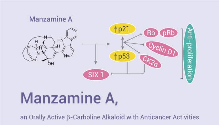 Manzamine A - Manzamine A, an Orally Active β-Carboline Alkaloid with Antiviru, Antimalarial and Anticancer Activities