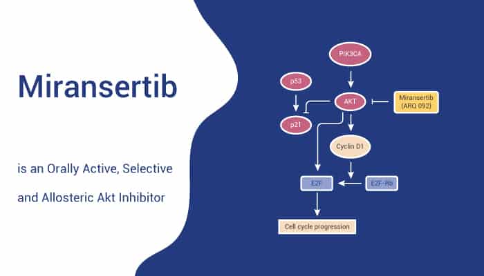 Miransertib is an Orally Active Selective and Allosteric Akt Inhibitor 2021 04 20 - Miransertib is an Orally Active, Selective and Allosteric Akt Inhibitor