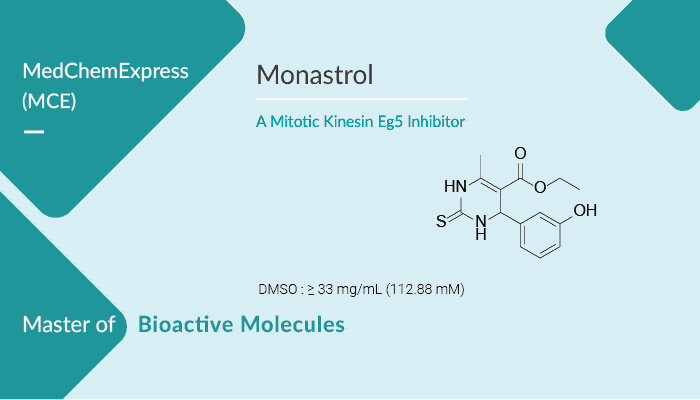 Monastrol is a Potent Inhibitor of the Mitotic Kinesin Eg5 2022 0401 - Monastrol is a Potent Inhibitor of the Mitotic Kinesin Eg5