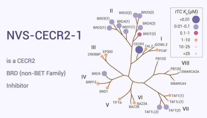 NVS CECR2 1 is a CECR2 BRD non BET Family Inhibitor 2021 01 27 - NVS-CECR2-1 is a CECR2 BRD (non-BET Family) Inhibitor