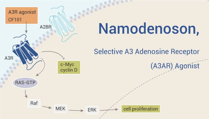 Namodenoson is An A3R Agonist 2022 0528 - Namodenoson (CF-102) is a Selective A3 Adenosine Receptor (A3AR) Agonist
