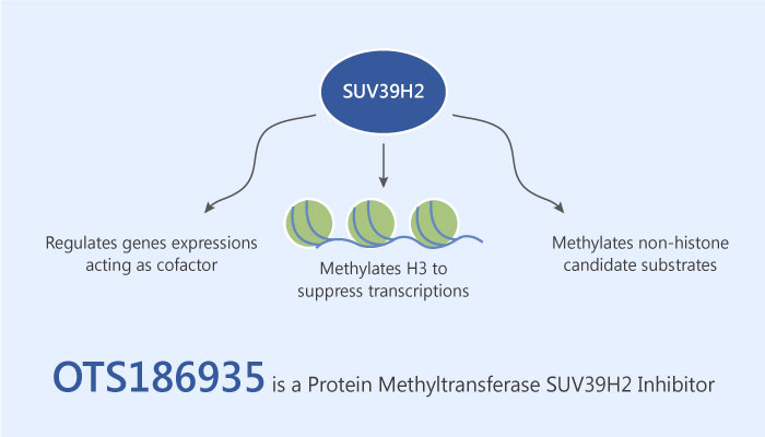 OTS186935 is a Protein Methyltransferase SUV39H2 Inhibitor 2019 06 05 1 - OTS186935 is a Protein Methyltransferase SUV39H2 Inhibitor