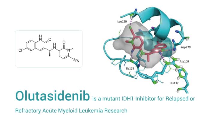 Olutasidenib - Olutasidenib, a Brain-Penetrant Mutant IDH1 Selective Inhibitor For AML Research