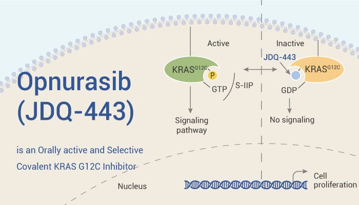 Opnurasib is A Kras g12c Inhibitor 2022 0221 - Opnurasib (JDQ-443) is an Orally Active KRAS G12C Inhibitor