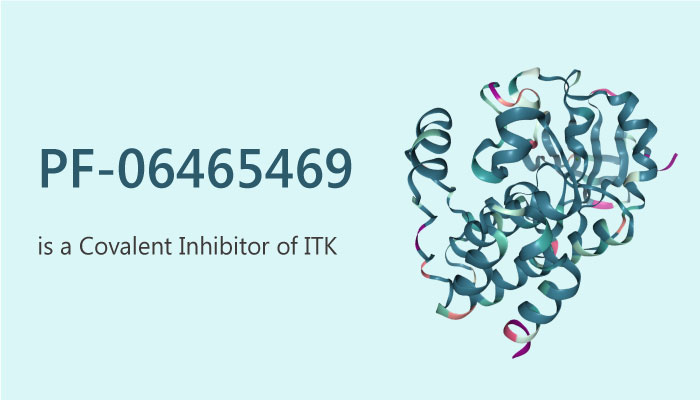PF 06465469 is a Covalent Inhibitor of ITK 2019 06 08 - PF-06465469 is a Covalent Inhibitor of ITK