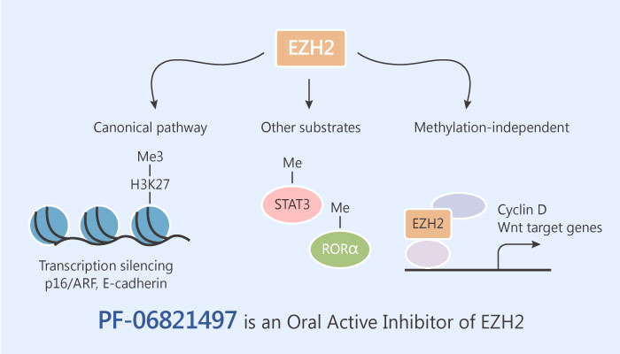 PF 06821497 an Oral Active Inhibitor of Enhancer of Zeste Homolog2 EZH2 2019 06 04 - PF-06821497 is an Oral Active Inhibitor of Enhancer of Zeste Homolog 2 (EZH2)