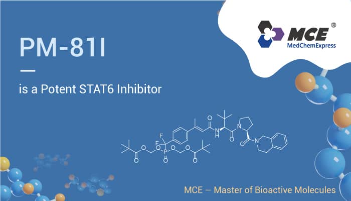 PM 81I is a STAT6 Inhibitor 2022 0924 - PM-81I is a Potent STAT6 Inhibitor