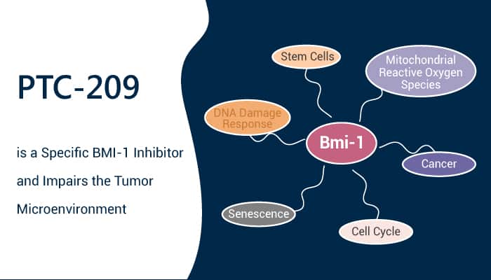 PTC 209 is a Specific BMI 1 Inhibitor and Impairs the Tumor Microenvironment 2021 06 10 - PTC-209 is a Specific BMI-1 Inhibitor and Impairs the Tumor Microenvironment