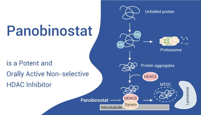 Panobinostat is An HDAC Inhibitor 2022 0729 - Panobinostat is a Potent and Orally Active Non-selective HDAC Inhibitor