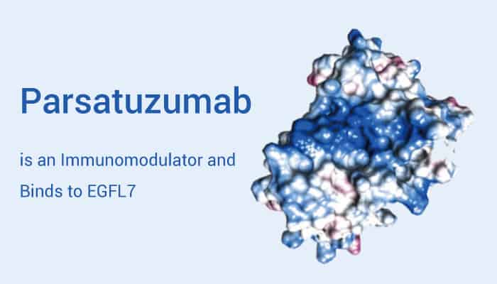 Parsatuzumab is An Immunodulator 2022 1019 - Parsatuzumab (RG 7414) is a Humanized mAb, Binding to EGFL7