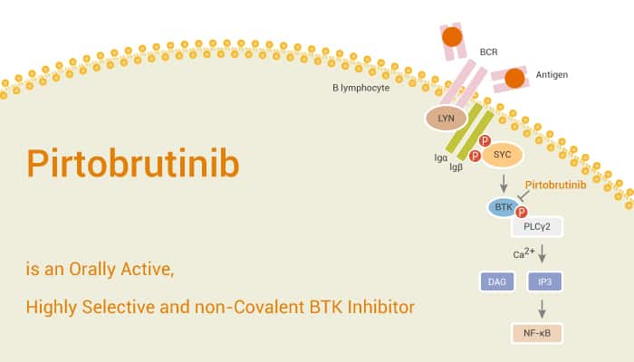 Pirtobrutinib is an Orally Active Highly Selective and non Covalent BTK Inhibitor 2021 05 06 - Pirtobrutinib is an Orally Active, Highly Selective and non-Covalent BTK Inhibitor