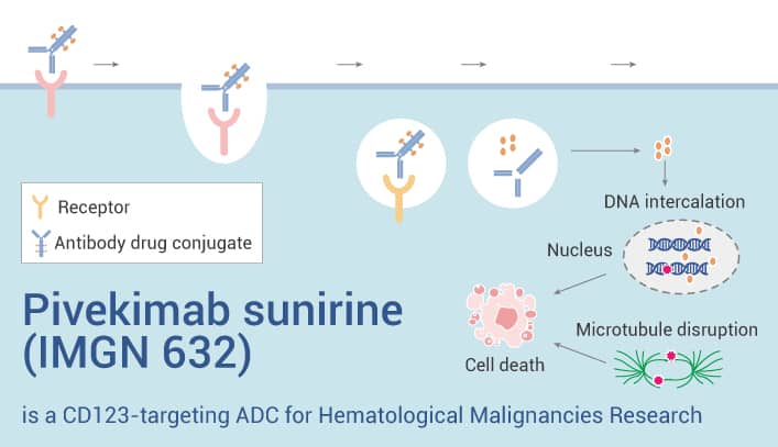 Pivekimab sunirine is An ADC 2023 0324 - Pivekimab sunirine (IMGN 632) is a CD123-targeting ADC for Hematological Malignancies