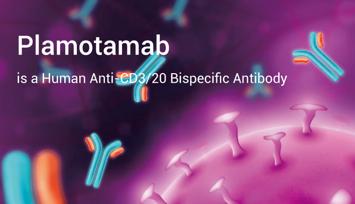 Plamotamab is CD3 Antibody 2023 0418 - Plamotamab is a Human Anti-CD3/20 Bispecific Antibody