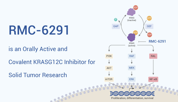 RMC 6291 is A KRAS Innhibitor 2023 0427 - RMC-6291 is an Orally Active and Covalent KRASG12C Inhibitor for Solid Tumor Research