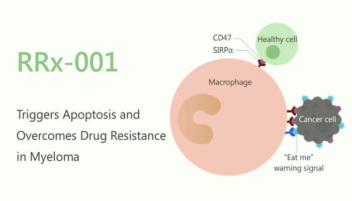 RRx 001 Triggers Apoptosis and OvercomesD rug Resistance in Myeloma 2019 09 03 - RRx-001 Triggers Apoptosis and Overcomes Drug Resistance in Myeloma