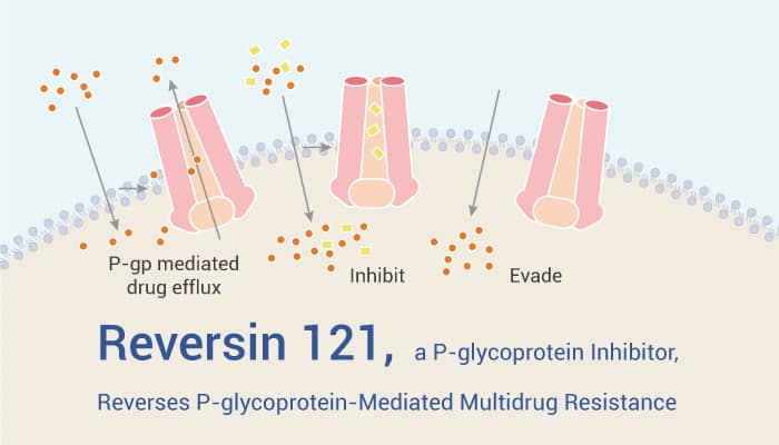 Reversin 121 is A P gp Inhibitor 2022 1201 - Reversin 121, a P-glycoprotein Inhibitor, Reverses P-glycoprotein-Mediated Multidrug Resistance