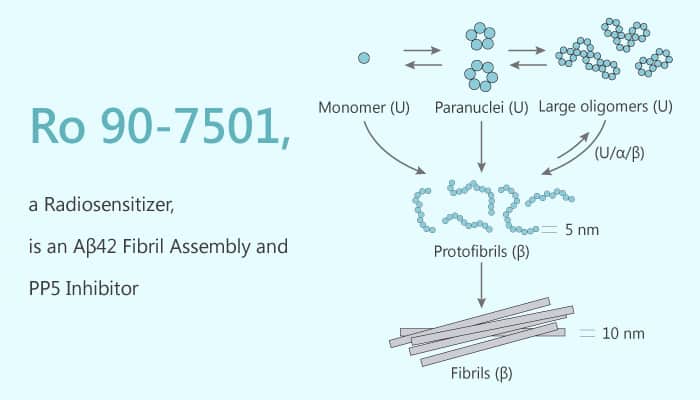 Ro 90 7501 a Radiosensitizer is an Aβ42 Fibril Assembly and PP5 Inhibitor 2020 03 19 - Ro 90-7501, a Radiosensitizer, is an Aβ42 Fibril Assembly and PP5 Inhibitor