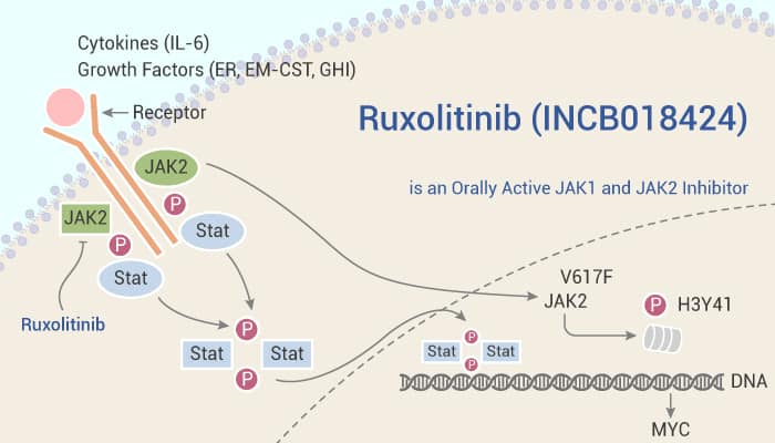 Ruxolitinib INCB018424 is an Orally Active JAK1 and JAK2 Inhibitor 2021 09 04 - Ruxolitinib (INCB018424) is an Orally Active JAK1 and JAK2 Inhibitor