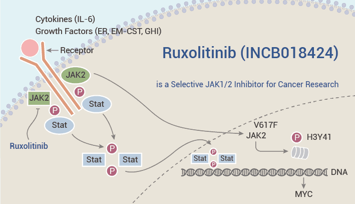 Ruxolitinib is A JAK2 Inhibitor 2023 0309 - Ruxolitinib (INCB018424) is a Selective JAK1/2 Inhibitor for Cancer Research