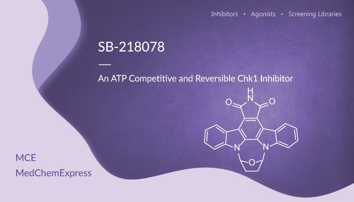 SB 218078 is an ATP Competitive and Reversible Chk1 Inhibitor 2020 02 18 - SB-218078 is an ATP Competitive and Reversible Chk1 Inhibitor