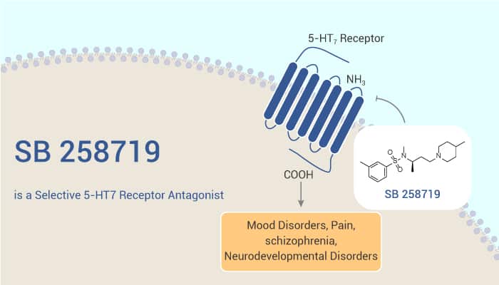 SB 258719 is a Selective 5 HT7 Receptor Antagonist 2021 10 28 - SB 258719 is a Selective 5-HT7 Receptor Antagonist