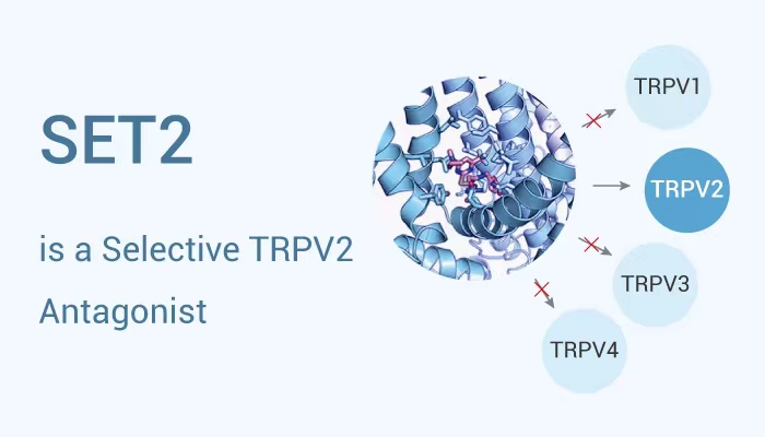 SET2 - SET2 is a Selective TRPV2 Antagonist