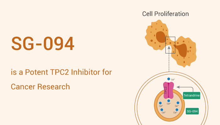 SG 094 is a Potent TPC2 Inhibitor for Cancer Reasearch 2023 0203 - SG-094 is a Potent TPC2 Inhibitor for HCC Reasearch