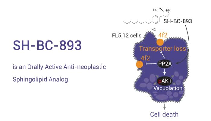 SH BC 893 is an Orally Active Anti neoplastic Sphingolipid Analog 2023 0227 - SH-BC-893 is an Orally Active Anti-neoplastic Sphingolipid Analog