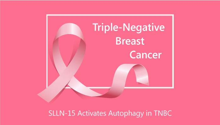 SLLN 15 Activates Autophagy in TNBC 2019 04 30 - SLLN-15 Activates Autophagy in Triple-Negative Breast Cancer (TNBC)