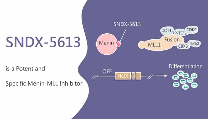 SNDX 5613 is a Potent and Specific Menin MLL Inhibitor 2020 05 16 - SNDX-5613 is a Potent and Specific Menin-MLL Inhibitor