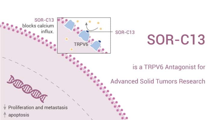 SOR C13 is a high affinity TRPV6 antagonist 2022 1105 - SOR-C13 is a High-Affinity TRPV6 Antagonist for Advanced Solid Tumors Research