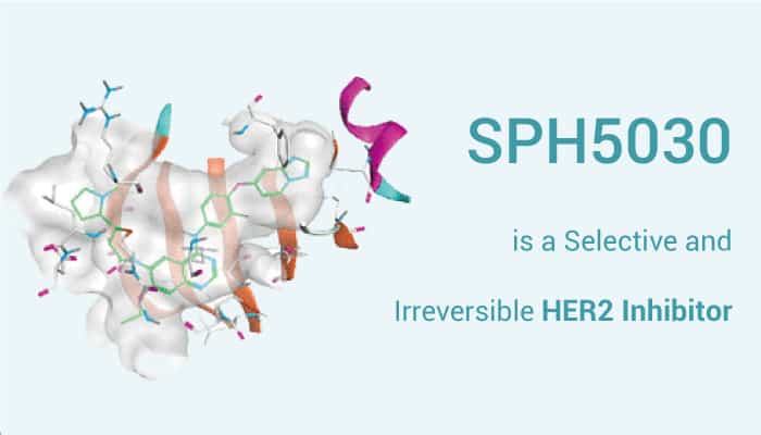SPH5030 is A HER2 Inhibitor 20220907 - SPH5030 is a Selective and Irreversible HER2 Inhibitor.