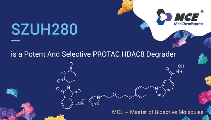 SZUH280 is A PROTAC Degrader 2023 0131 - SZUH280 is a Potent And Selective PROTAC HDAC8 Degrader